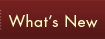 Belgian Chocolates, Animal Shape Chocolates, Romantic Chocolates Available for all Occasions. 